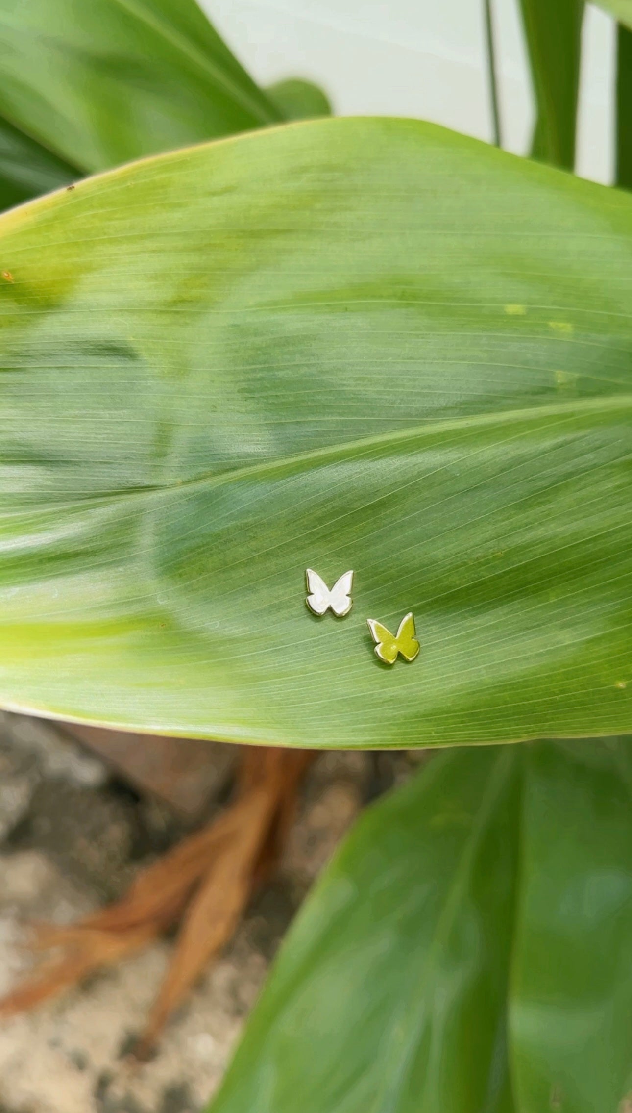 Dainty Butterfly Studs