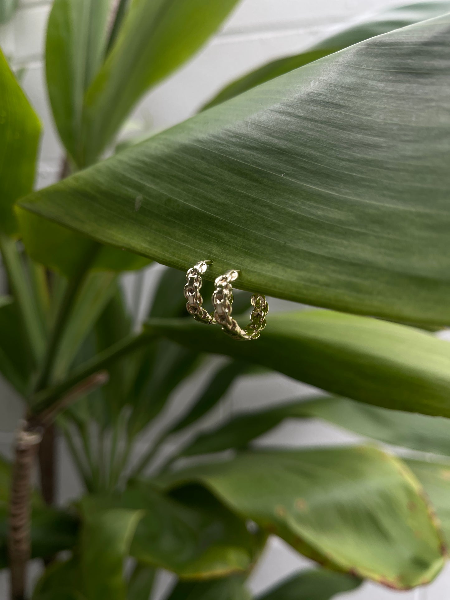 Cuban Curb Huggie Hoops