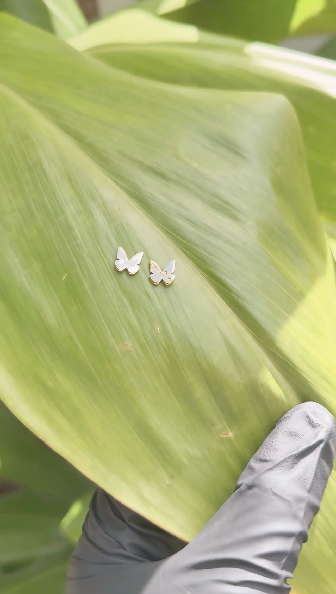 Dainty Butterfly Studs