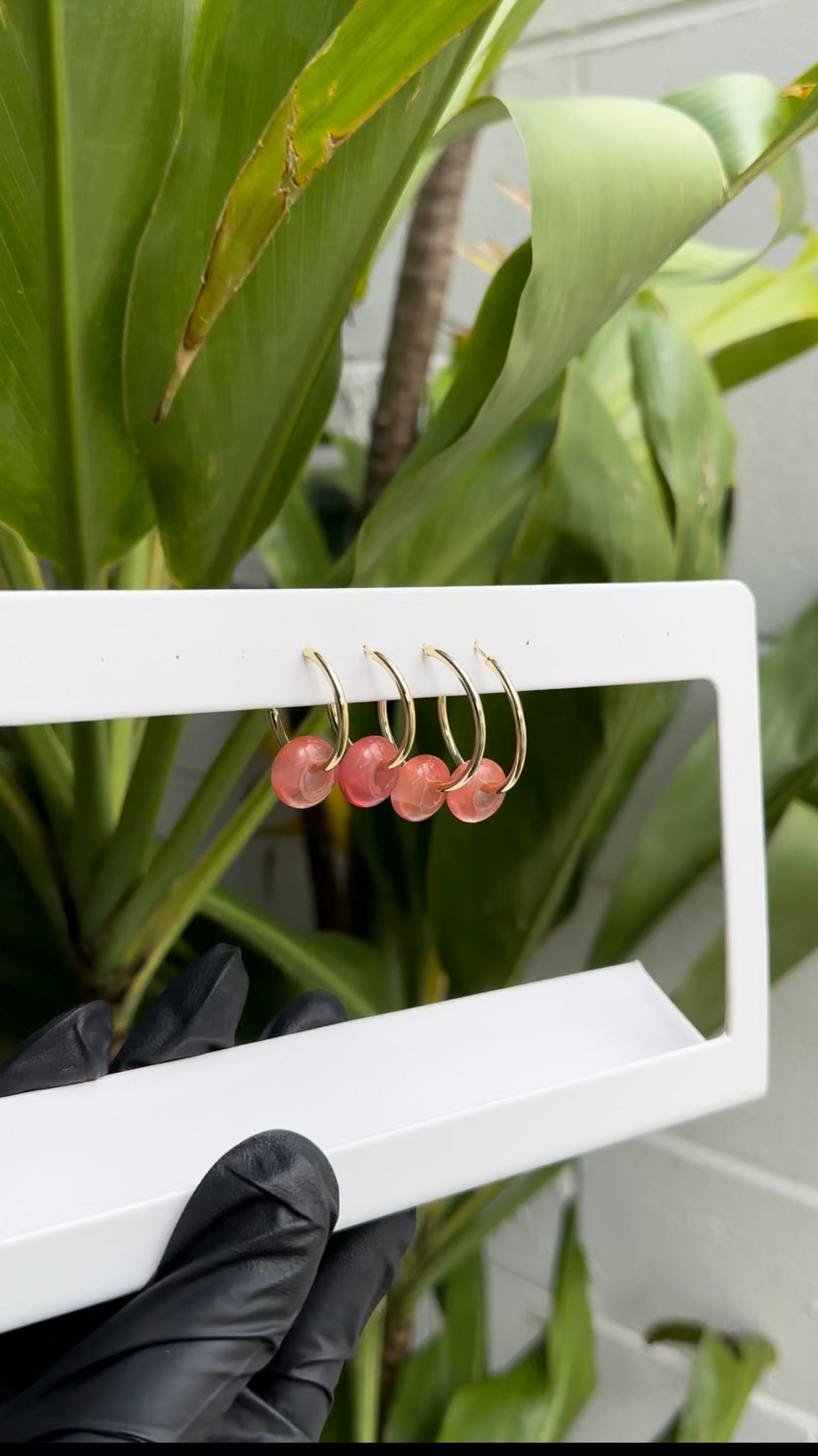 Rose Quartz Hoops